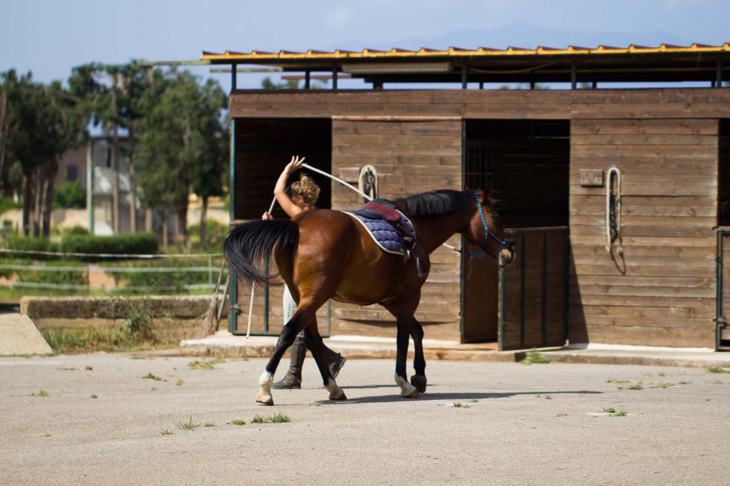 visualya-happystable-0420