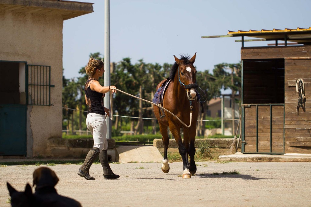 visualya-happystable-0422