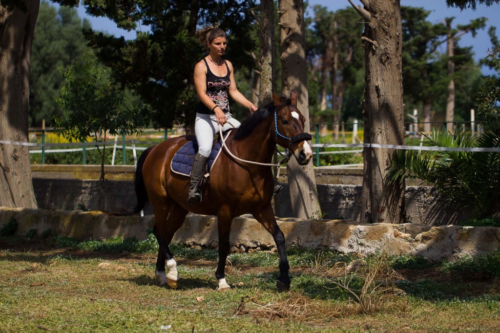 visualya-happystable-0452