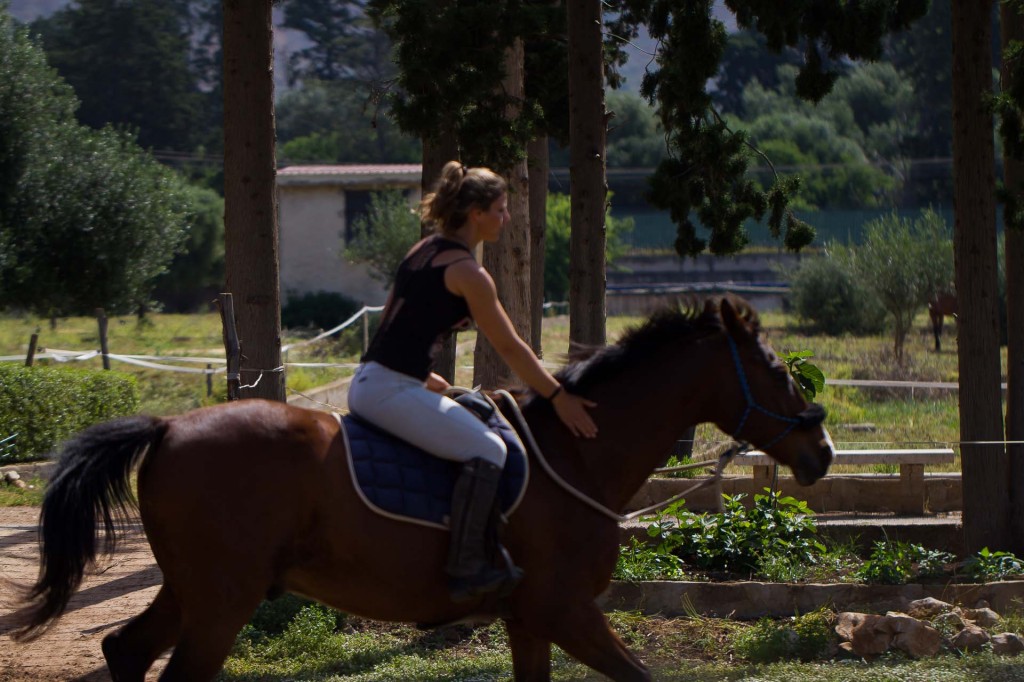 visualya-happystable-0460