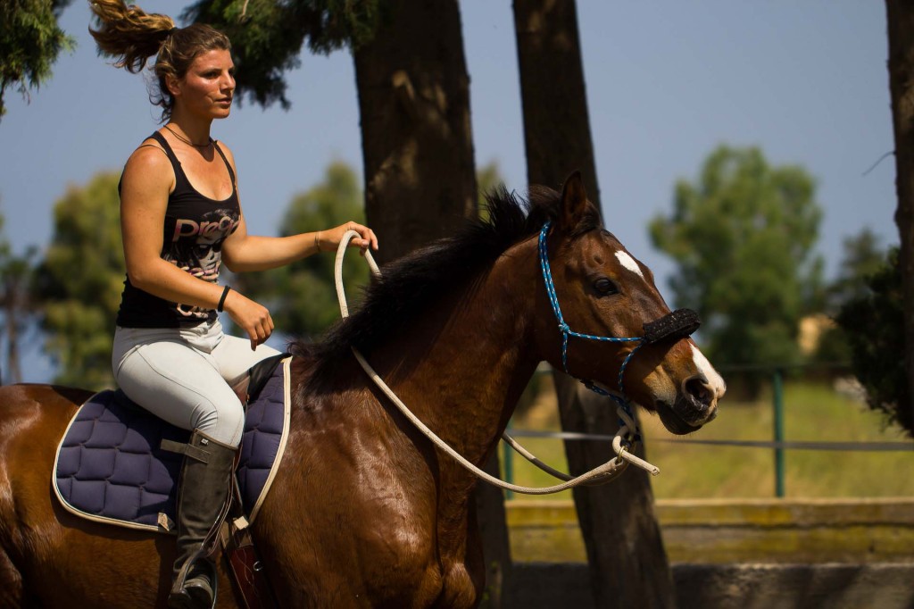 visualya-happystable-0491